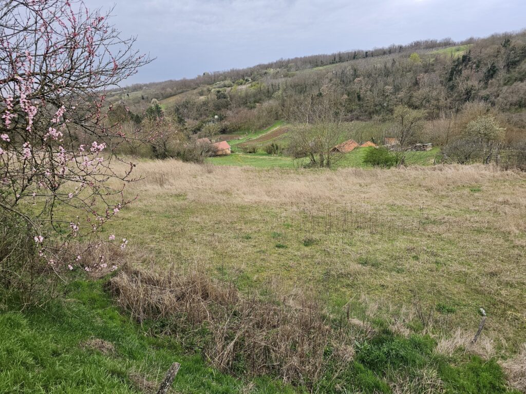 🌳 ELADÓ ZÁRTKERT HELESFÁN! 🌳