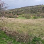 🌳 ELADÓ ZÁRTKERT HELESFÁN! 🌳