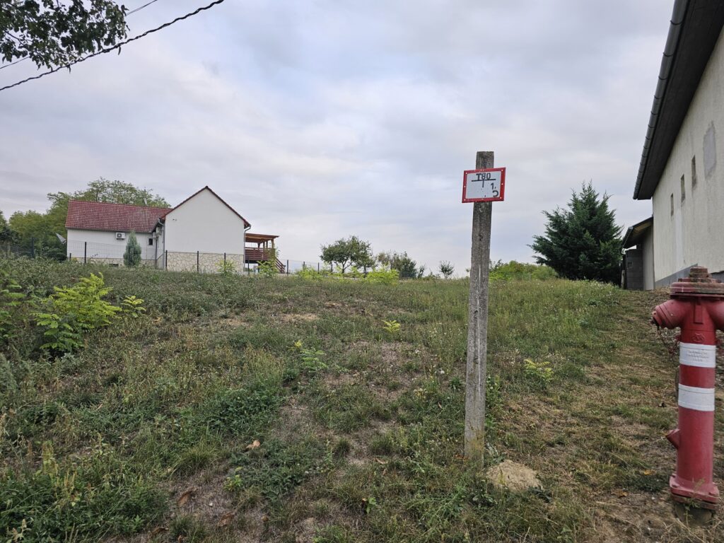 🌳 ÉPÍTKEZŐK, BEFEKTETŐK FIGYELEM! 🌳