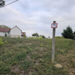 🌳 ÉPÍTKEZŐK, BEFEKTETŐK FIGYELEM! 🌳